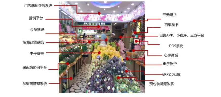特許經(jīng)營是如何讓百果園成為果業(yè)巨頭的？