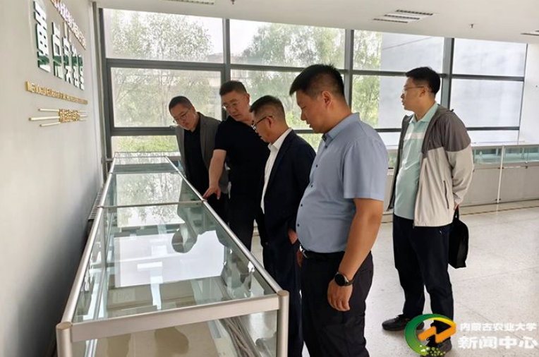 綠色創(chuàng)新，共贏未來 ——逸馬產(chǎn)業(yè)集團(tuán)推進(jìn)內(nèi)蒙古農(nóng)業(yè)大學(xué)校企共建“智慧農(nóng)林新材料研究中心”成立