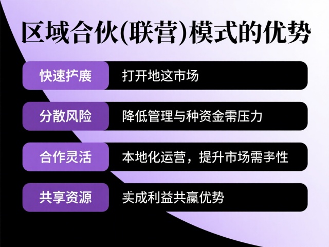 區(qū)域合伙(聯(lián)營)模式的優(yōu)勢