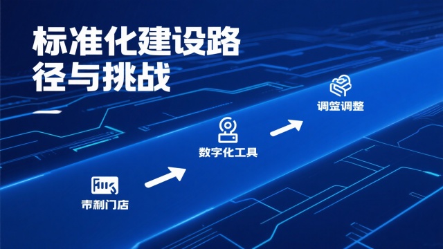 標準化建設(shè)的路徑與挑戰(zhàn)