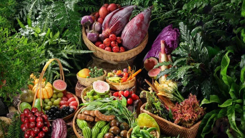 半年狂開30家！云山雀如何靠標(biāo)準(zhǔn)化招商引爆門店業(yè)績？