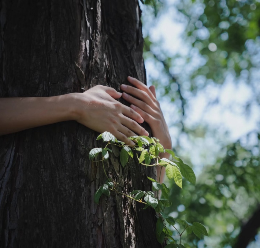 心·場(chǎng)景美學(xué)