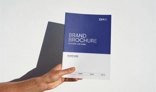 逸馬戰(zhàn)略陪跑全面升級｜提供全球智慧，培育產業(yè)領袖 ！