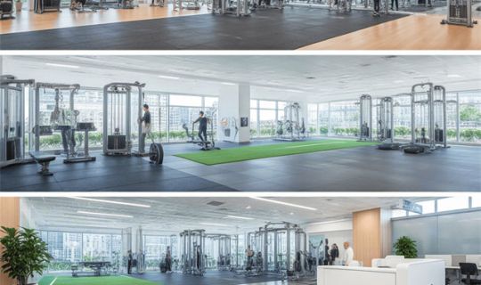 連鎖標(biāo)準(zhǔn)化三大系統(tǒng)（運(yùn)營(yíng)系統(tǒng)、訓(xùn)練系統(tǒng)、督導(dǎo)系統(tǒng)）