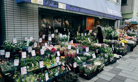 做生意怎么能把客戶吸引過來（如何吸引顧客進(jìn)店方法）