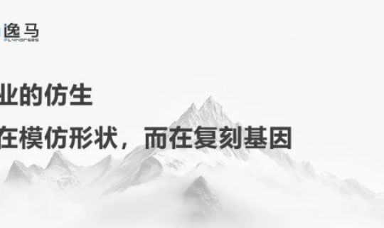 從“一店”到“萬(wàn)店”：揭秘連鎖規(guī)?；澈蟮南到y(tǒng)力量